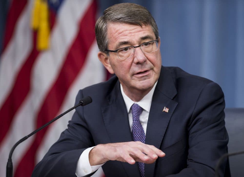 US Secretary of Defense Ashton Carter speaks during a press briefing at the Pentagon in Washington, DC, March 25, 2016.
(Saul Loeb/AFP/Getty Images)