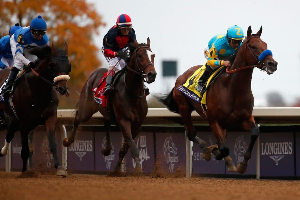 Jockey  Victor Espinoza rides American Pharoah # 4 into the first turn enroute to winning the Breeders' Cup Classic at Keeneland Racecourse on October 31, 2015 in Lexington, Kentucky.  (Rob Carr/Getty Images)