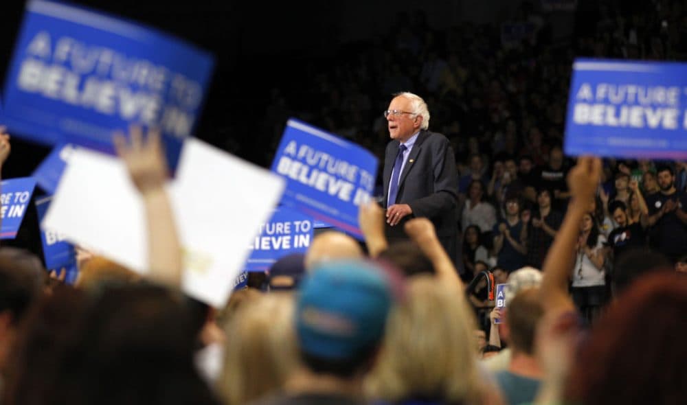 Democratic presidential candidate Bernie Sanders addresses the crowd during a campaign rally at the Big Sandy Superstore Arena,  April 26, 2016 in Huntington, West Virginia. Sanders is preparing for West Virginia's May 10th primary.  (John Sommers II/Getty Images)