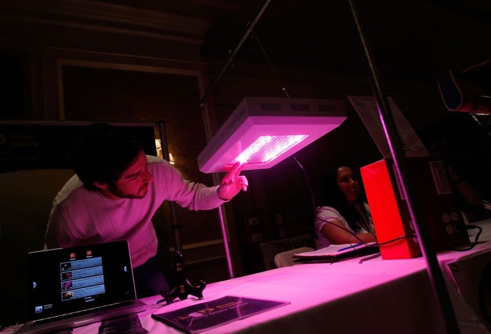 Brian Stern of Denver, Colorado looks over one of the LED grow lights sold by his company at the Cannabis Crown 2010 expo in Aspen, Colorado. (Chris Hondros/Getty Images)