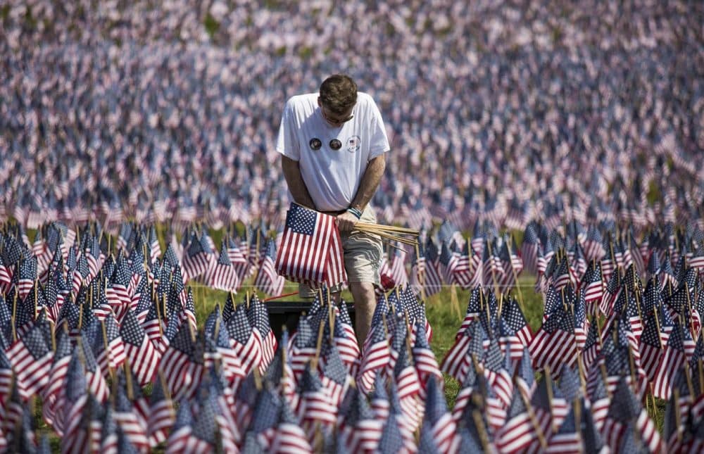 Mark Brings, of Marblehead, stands in a sea of red, white and blue on the Boston Common on Wednesday. (Jesse Costa/WBUR)