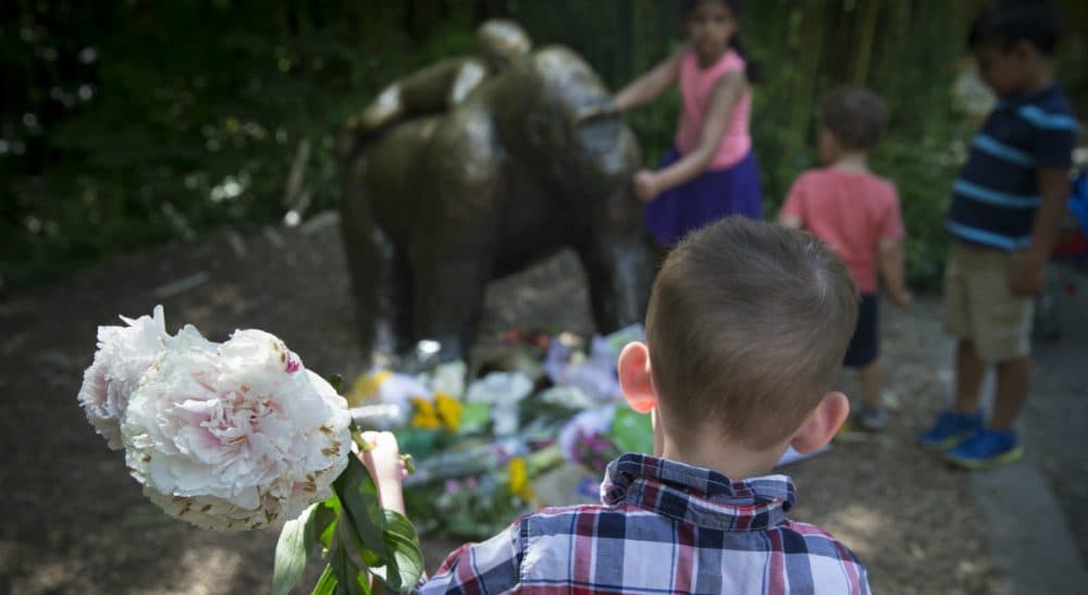 A boy brings flowers to put beside a statue of a gorilla at the Cincinnati Zoo &amp; Botanical Garden, Monday, May 30, 2016. A gorilla named Harambe was killed by a special zoo response team on Saturday after a 3-year-old boy slipped into an exhibit and it was concluded his life was in danger. (John Minchillo/AP)
