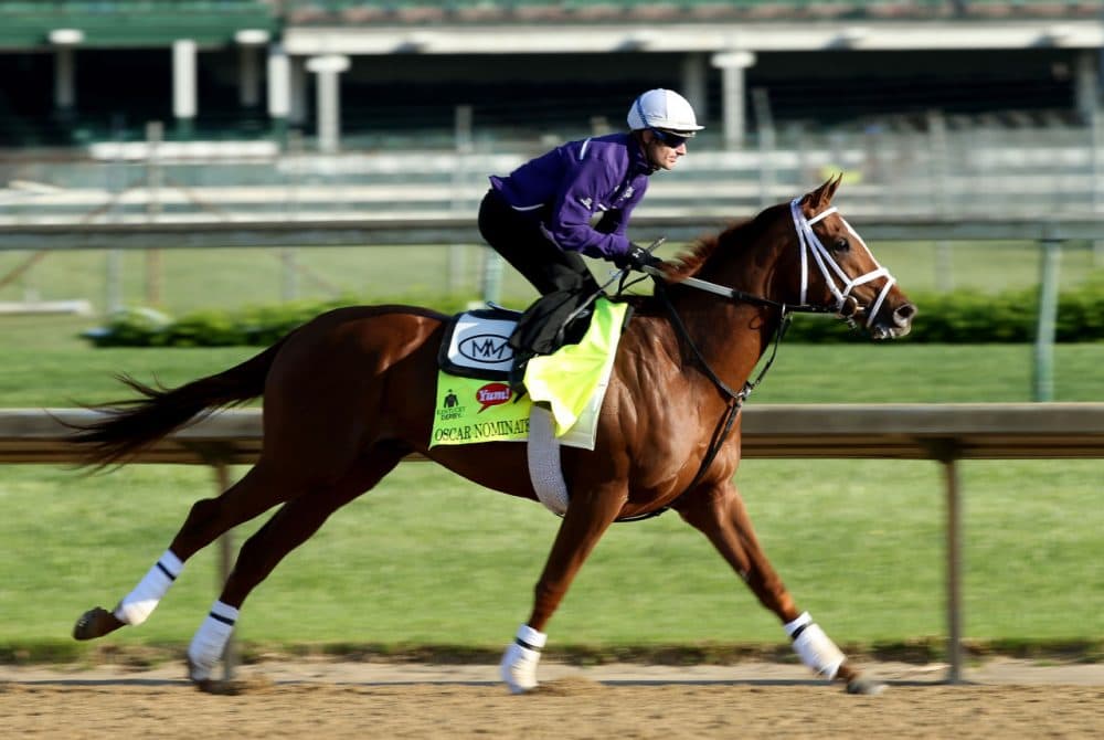 Oscar Nominated is one of the many creatively named horses that will compete at Churchill Downs. (Andy Lyons/Getty Images)