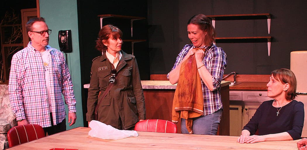 Thomas Grenon , Kathy LaShay Bernson, Christine Power and Shelley Brown in Zeitgeist Stage Company’s production of &quot;A Great Wilderness.&quot;  (Courtesy Richard Hall/Silverline Images)