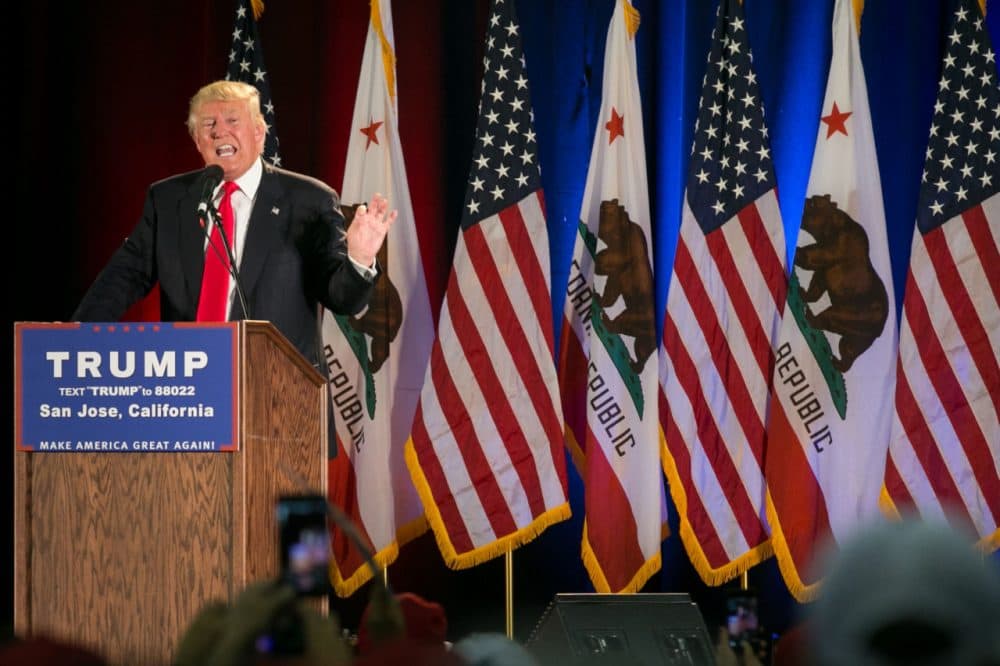 Republican presidential candidate Donald Trump speaks in front of a row of California state and American flags at a campaign rally on June 2, 2016 in San Jose, California.  (Elijah Nouvelage/Getty Images)