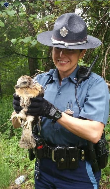 State Police Trooper Leigha Genduso with the baby hawk. (Courtesy Massachusetts State Police via Facebook)