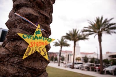 A star adorns a palm tree near a memorial site for the victims of the Pulse Nightclub shooting, June 15, 2016 in Orlando, Florida. (Drew Angerer/Getty Images)