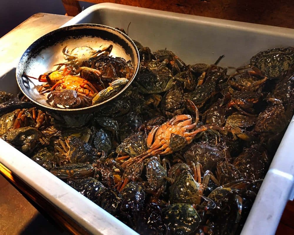 Invasive green crabs have been destroying clam and scallop populations from South Carolina to Maine, but now some chefs are trying to put them on their menus. (Courtesy Emily Corwin/New Hampshire Public Radio)