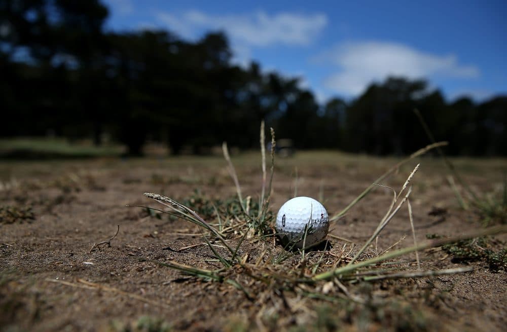 A golf ball sits in a dry spot on a fairway at Gleneagles Golf Course on July 11, 2014 in San Francisco, California. (Justin Sullivan/Getty Images)
