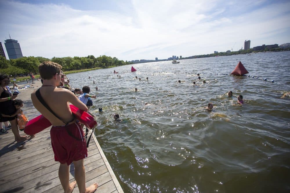 People swimming in the Charles River at a City Splash event in July 2016. (Jesse Costa/WBUR)