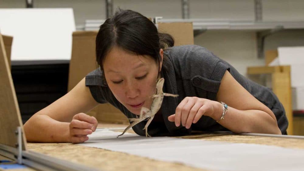 Tonia Hsieh at work in her Temple University lab. (Courtesy of Temple University)