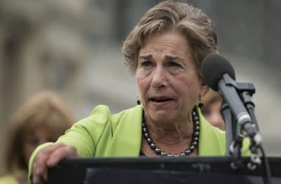 Congresswoman Jan Schakowsky speaks at an event at the United States Capitol on July 12, 2016 in Washington, D.C. (Leigh Vogel/Getty Images for MoveOn.org)
