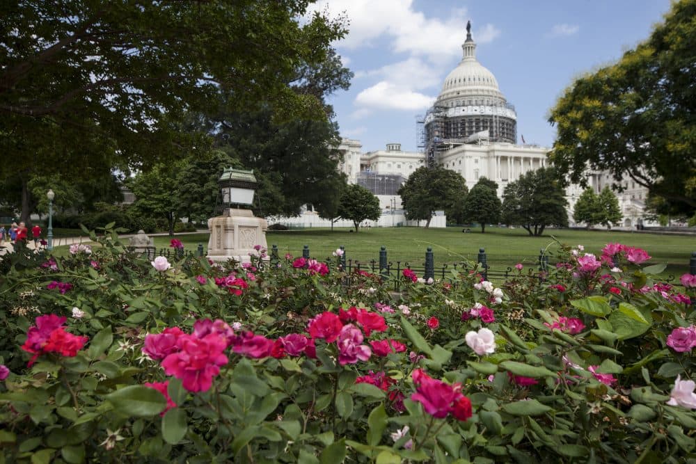 This June 16, 2016 photo shows an exterior view of the Capitol Building in Washington. (J. Scott Applewhite/AP)