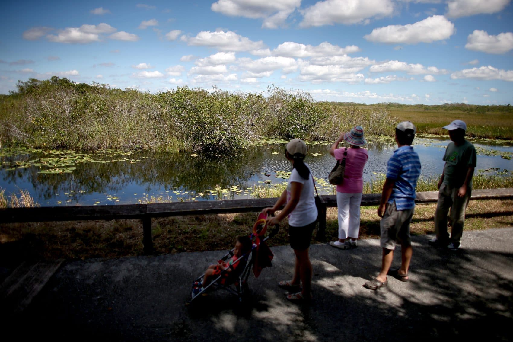 Visitors to the Everglades National Park enjoy the views on Oct. 17, 2013 in Miami, Florida. (Joe Raedle/Getty Images)