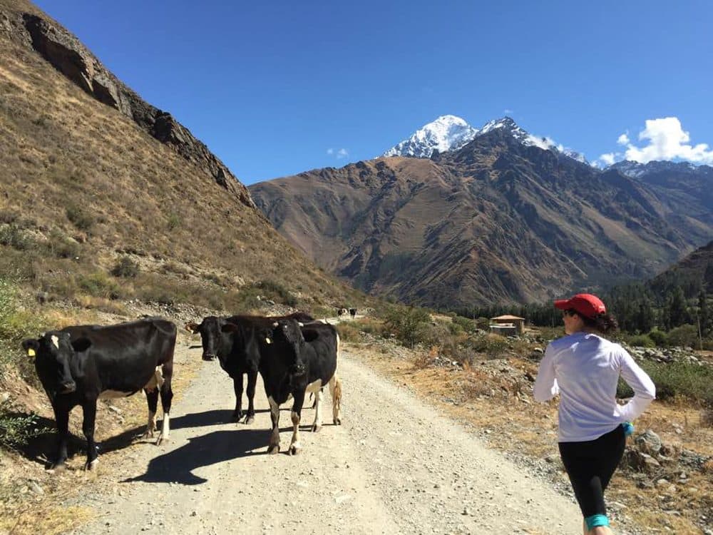 Karyn running through the Andes Mountains on her way to Machu Picchu. (Karyn Miller-Medzon/Here & Now)