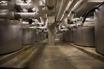 Sixty-five IceBank Energy Storage tanks in the basement of the Moakley Courthouse in Boston. (Jesse Costa/WBUR)