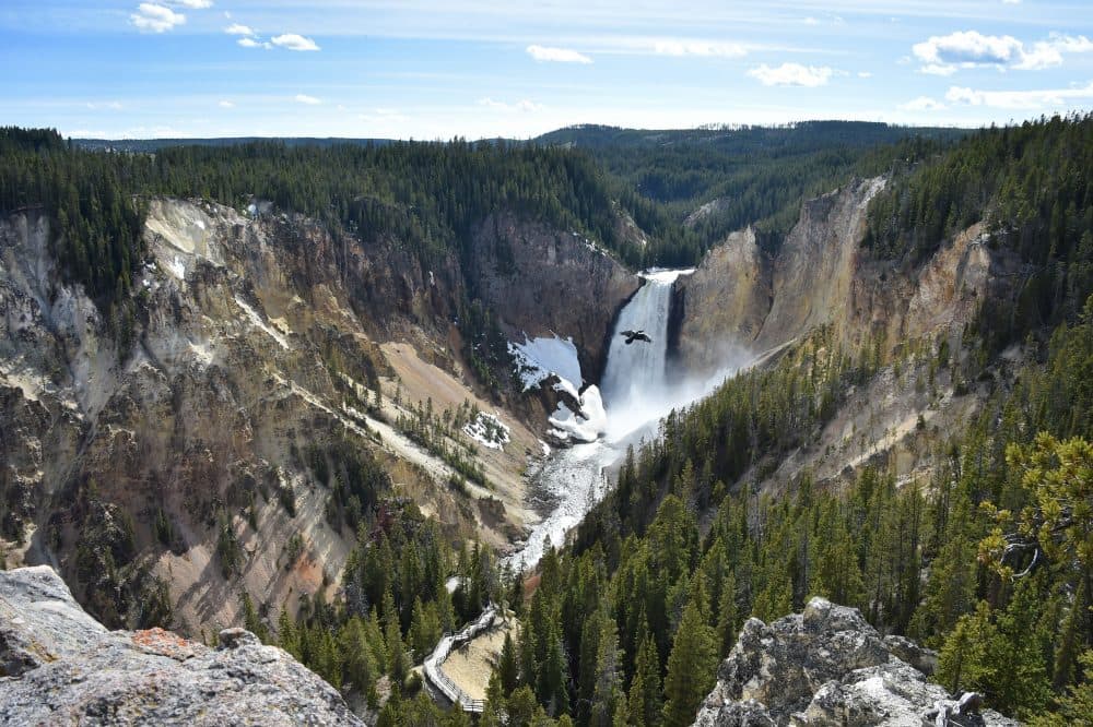The Lower Falls at the Grand Canyon of the Yellowstone National Park on May 11, 2016. (Mladen Antonov/AFP/Getty Images)