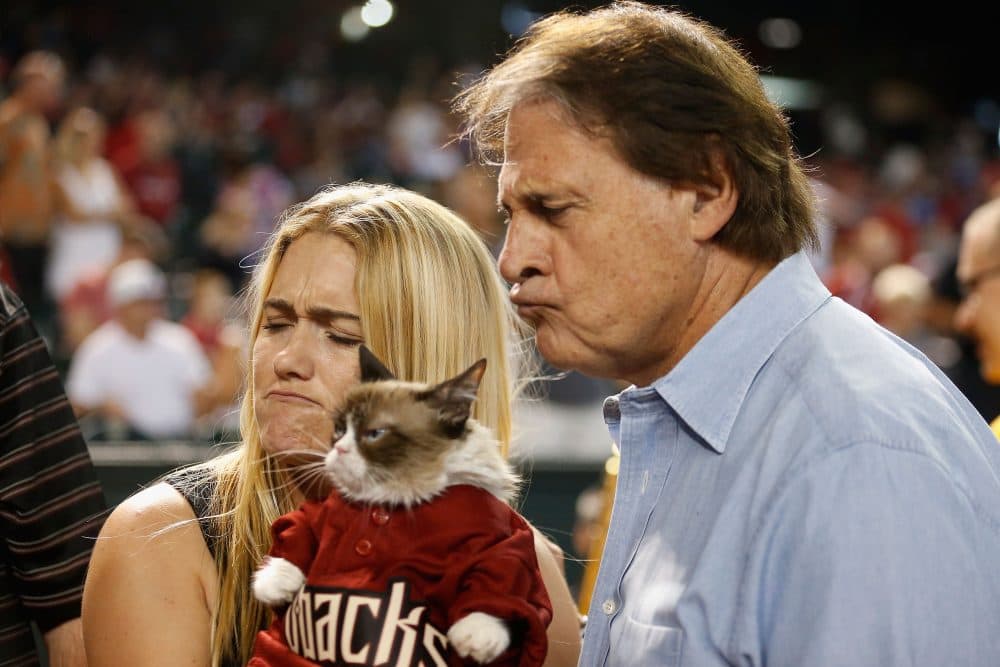 Legendary Cardinals manager Tony La Russa's tenure as GM of the struggling Diamondbacks feels like a fall from grace. (Christian Petersen/Getty Images)