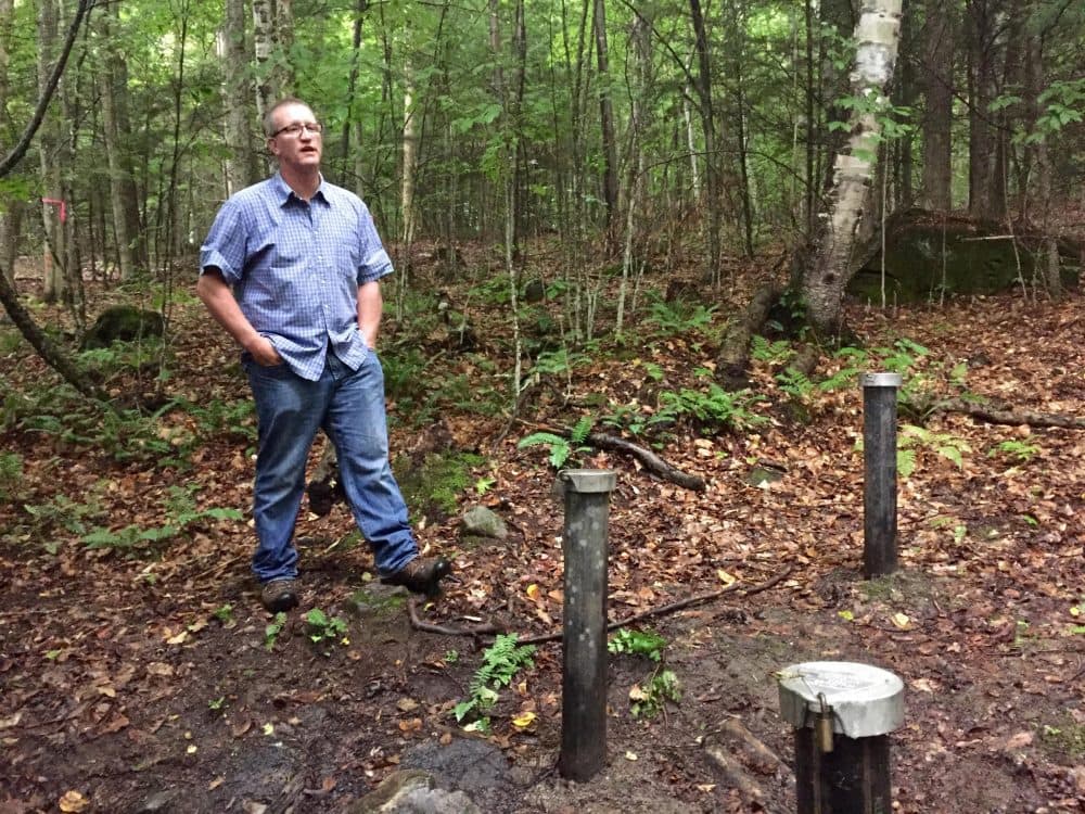 Hanover resident Richard Higgins stands near a well 375 feet away from his property, where groundwater tests have shown hundreds of times the New Hampshire state-alloted amount of the chemical 1,4-dioxane, a suspected carcinogen. (Rebecca Sananes/VPR)