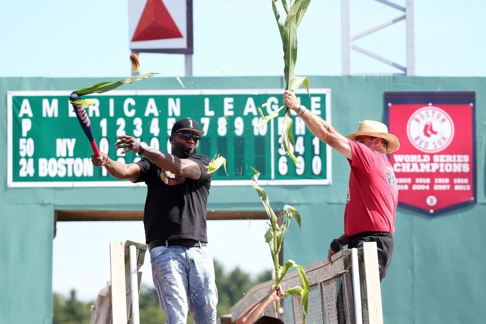 Boston Red Sox designated hitter David Ortiz officially opens The Big Papi Maze with a swing of the bat Tuesday in Sterling, Mass. (Damian Strohmeyer/AP)