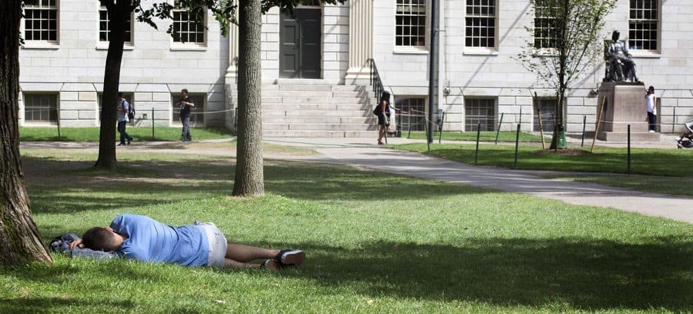 A student naps on Harvard Yard, not far from the statue of John Harvard. (Joe Difazio for WBUR)