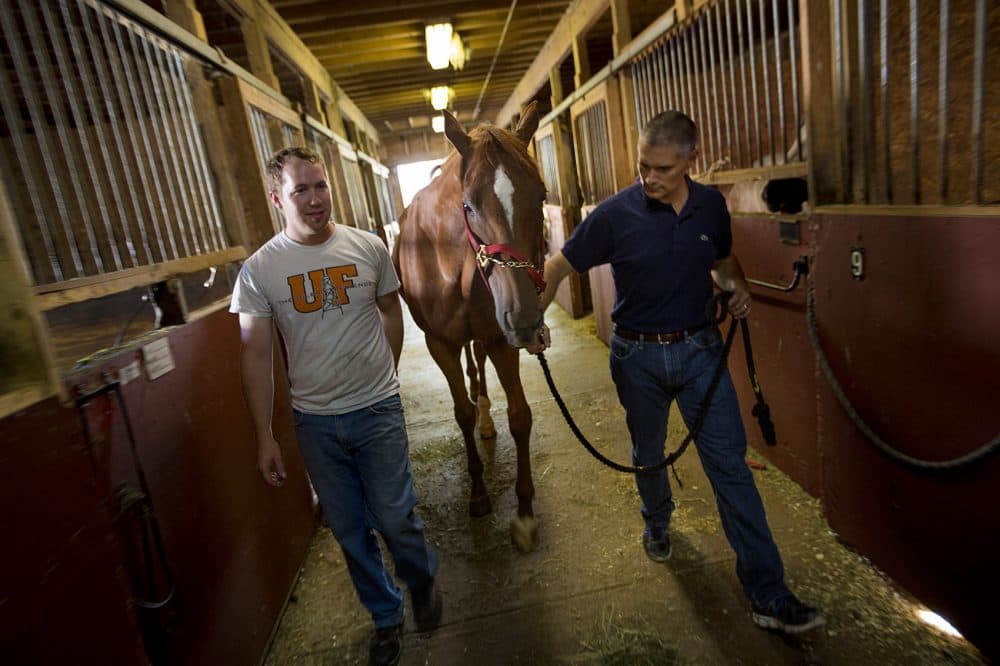Indian Rock Stables co-owner John Gill and racing horse owner Anthony Zizza walk one of Gill's horses, Daisy, through the barn. (Jesse Costa/WBUR)
