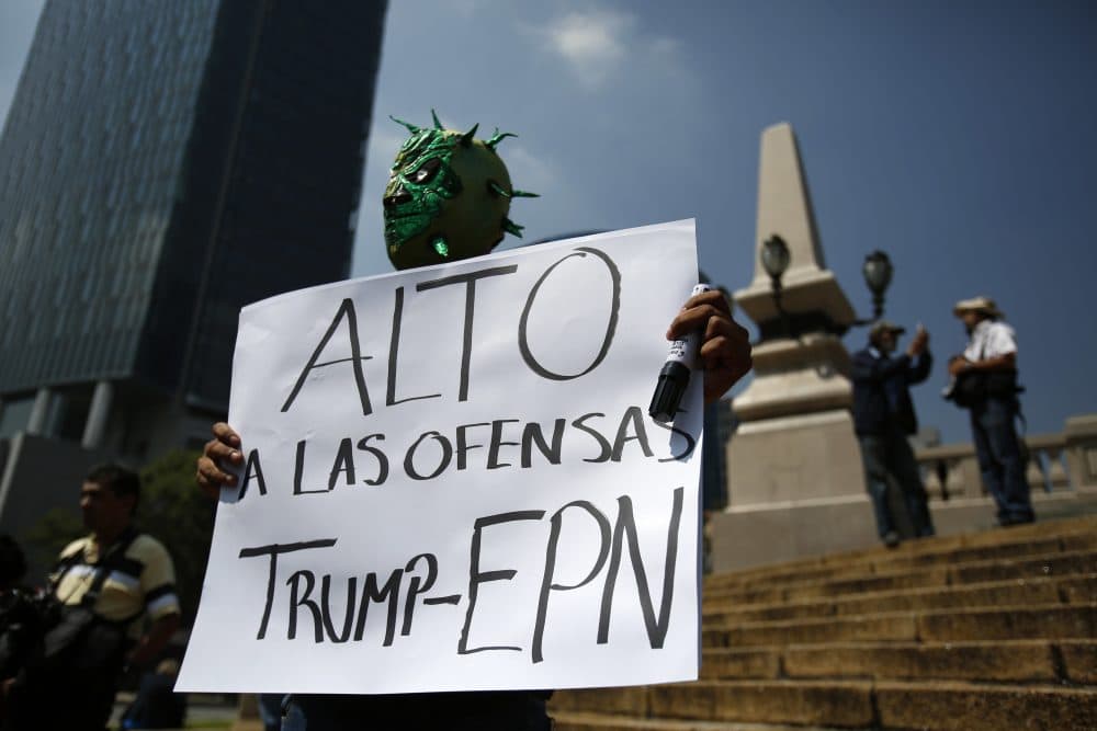 Diego Garcia wears a Mexican wrestling mask and holds a sign reading in Spanish; &quot;Stop the offenses of Trump and EPN,&quot; referring to Mexican President Enrique Pena Nieto, as he protests Donald Trump's meeting with the president, in Mexico City, Wednesday, Aug. 31, 2016. (Rebecca Blackwell/AP)