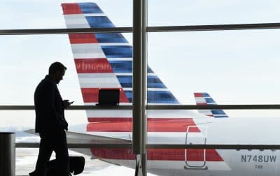 In this Jan. 25, 2016 file photo, a passenger talks on the phone as American Airlines jets sit parked at their gates at Washington's Ronald Reagan National Airport. (Susan Walsh/AP)