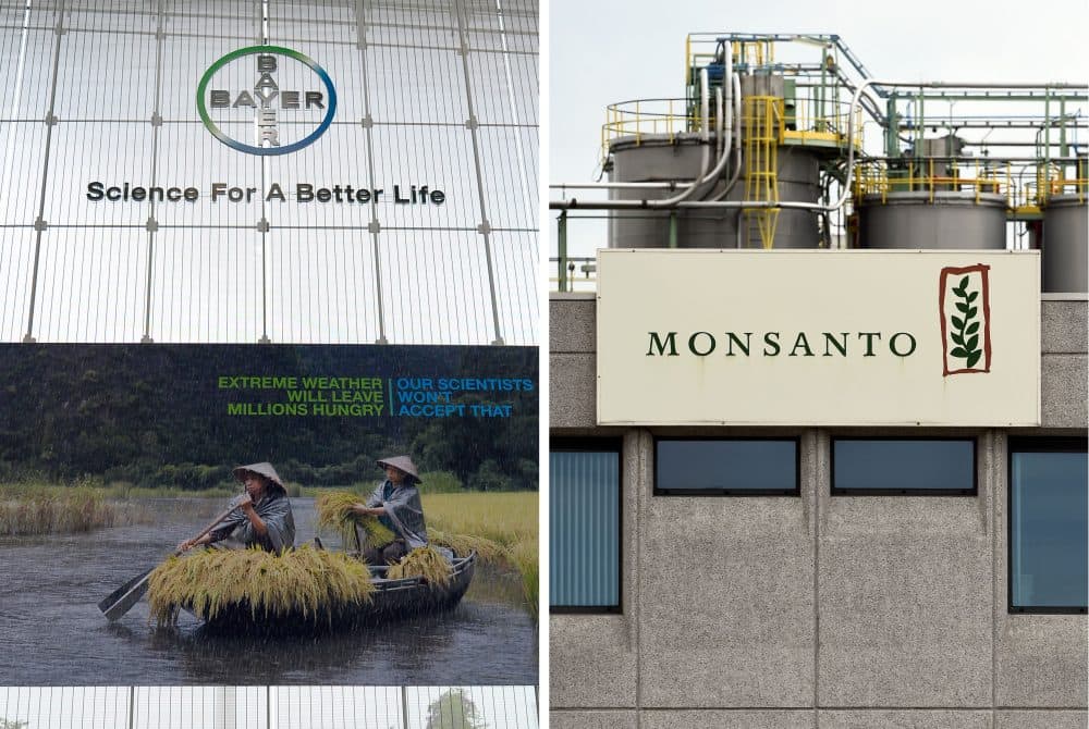Bayer, best known in the U.S. for its aspirin, announced the deal to acquire Monsanto on Wednesday. (Roberto Pfeil, John Thys/AFP/Getty Images)