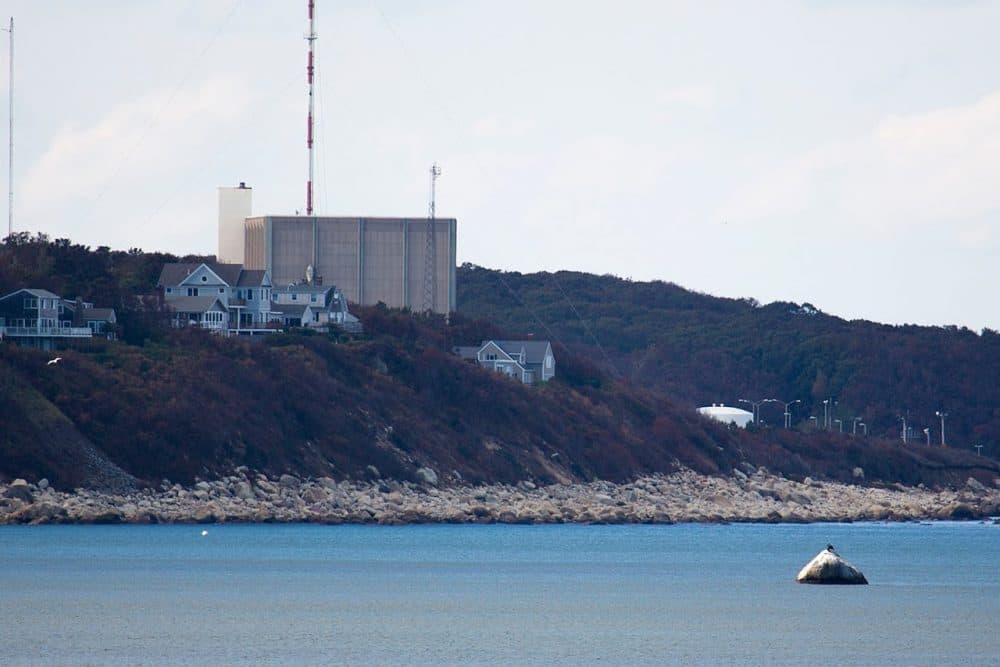 Pilgrim Nuclear Power Station in Plymouth (Jesse Costa/WBUR)