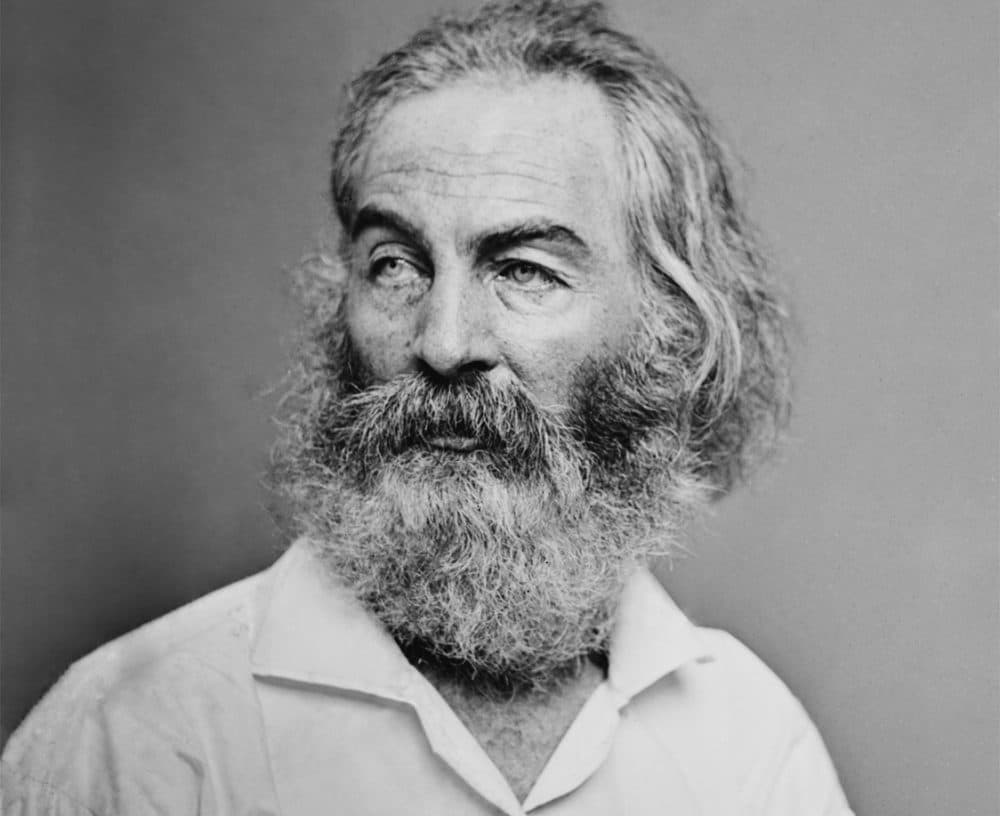 Walt Whitman, photographed by Mathew Brady. (Wikimedia Commons)