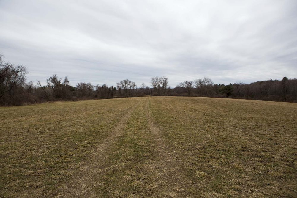 One of the fields of the property the Islamic Society of Greater Worcester wants to turn into a cemetery. (Jesse Costa/WBUR)