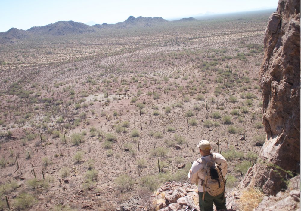 A Border Patrol mountain scout interdiction agent looks out from a hilltop in the West Desert in Arizona. (Michel Marizco/Fronteras)