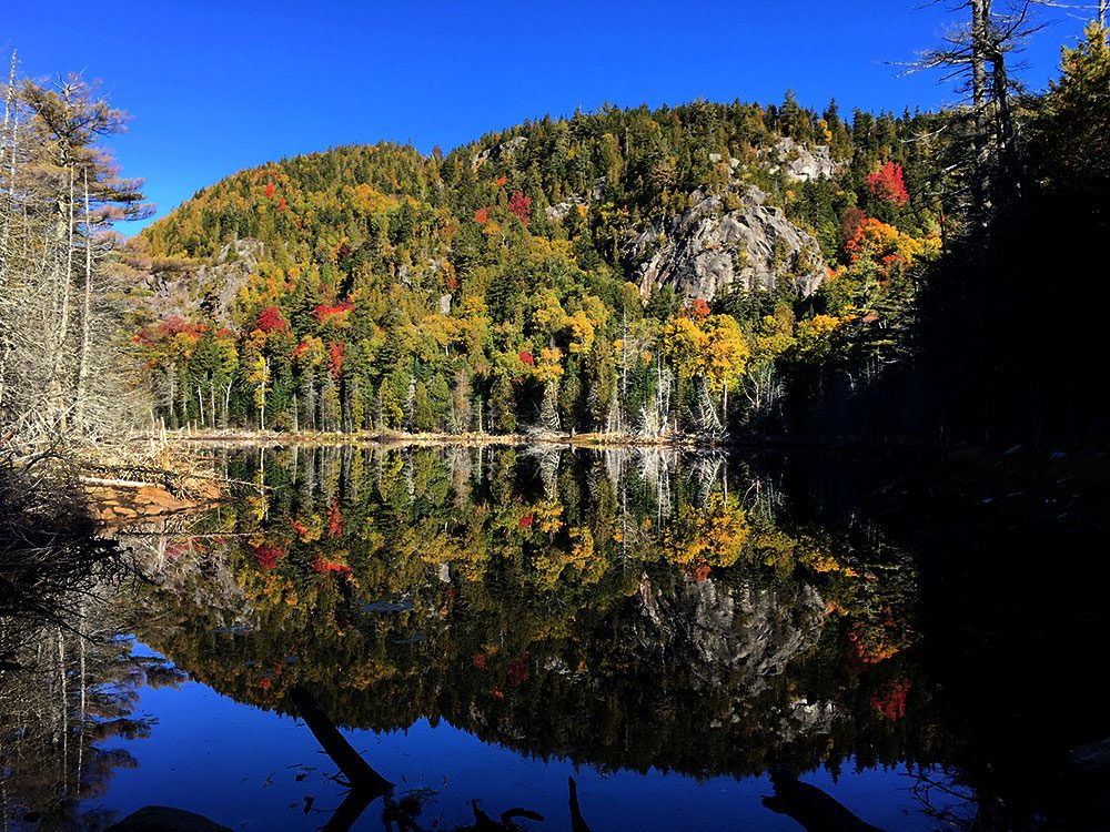 Fall color reflected in Giant's Washbowl in New York's Adirondack Mountains. (David Sommerstein/NCPR)