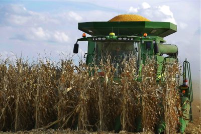 Everybody eats, so why aren't the presidential nominees talking about how they would feed a growing population? Rich Barlow weighs in on big agriculture, small farms and the food dilemma facing America and the world. Pictured: Central Illinois farmers harvest their corn crops Wednesday, Sept. 14, 2016, in Loami, Ill. (Seth Perlman/AP)