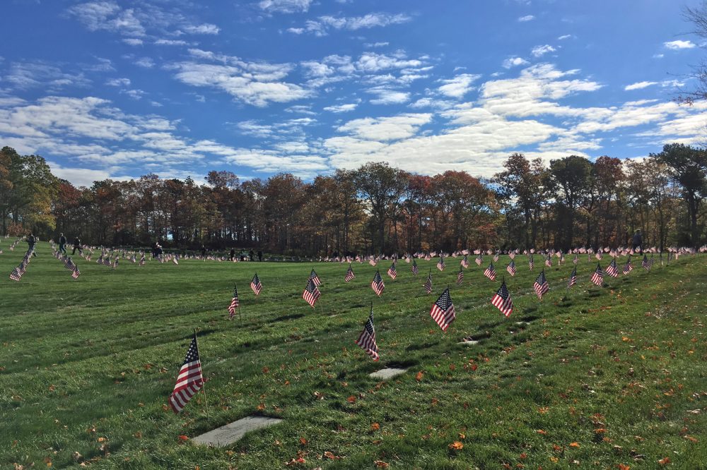 Ahead of Veterans Day (2016), volunteers placed American flags on the more than 60,000 graves at the Massachusetts National Cemetery on Cape Cod. (Alex Ashlock/Here & Now)