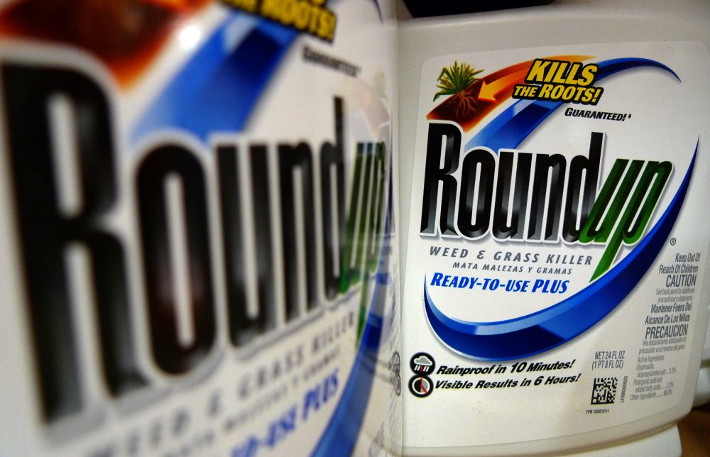 In this June 2011, file photo, bottles of Roundup herbicide are displayed on a store shelf in St. Louis. (Jeff Roberson/AP)