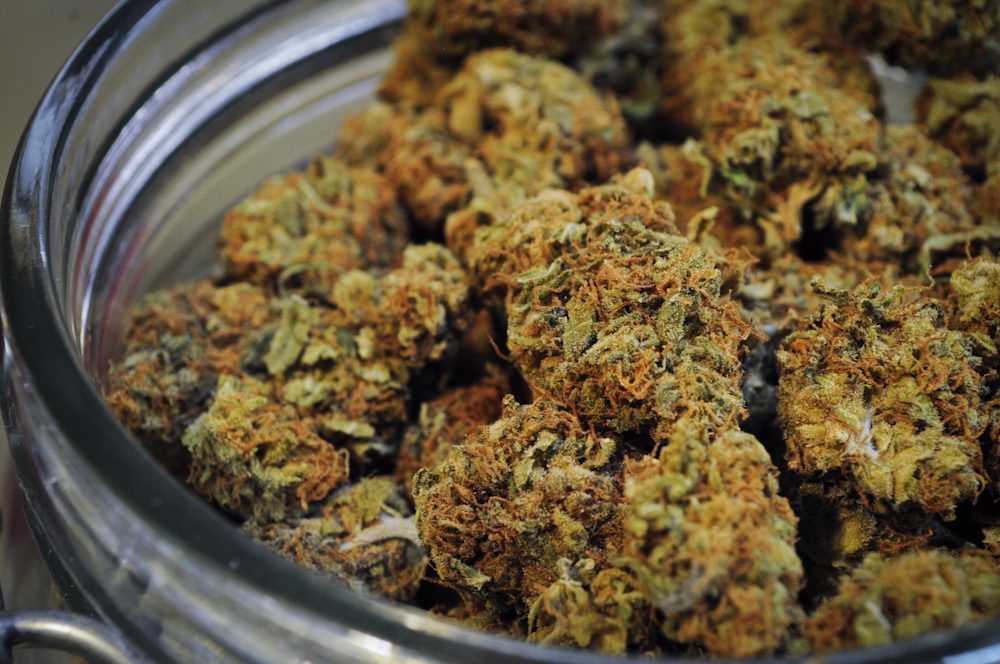 Recreational marijuana passed on ballot measures in Massachusetts, California, and Nevada. (Dank Depot/Flickr)