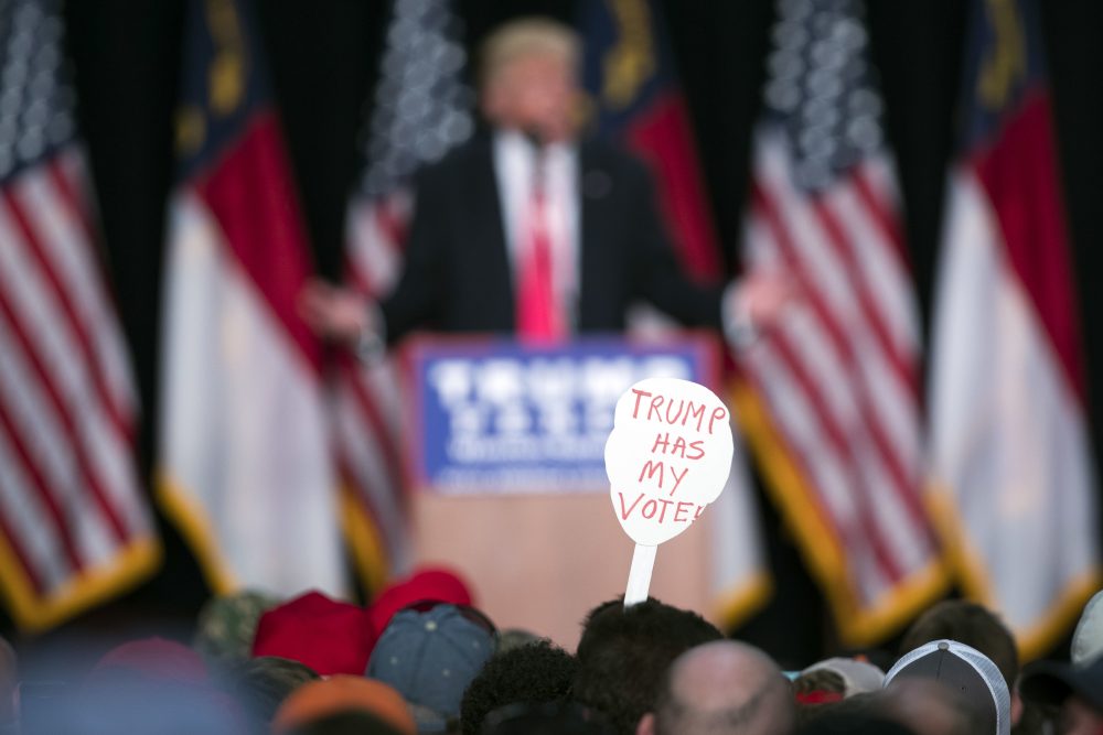 In this Monday, July 25, 2016 file photo, a supporter of Donald Trump holds a sign during a campaign rally in Winston-Salem, N.C. (Evan Vucci/AP)