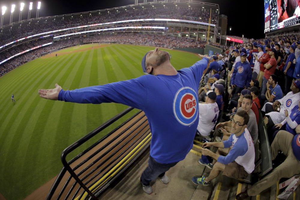 A Chicago Cubs  fan celebrates during the eighth inning of Game 7 of the Major League Baseball World Series against the Cleveland Indians Wednesday, Nov. 2, 2016, in Cleveland. (Charlie Riedel/AP)