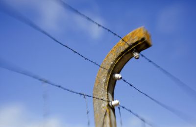 We must put our ears to the ground, writes Julie Lindahl, and listen for the quiet whisperings of the dead. Pictured: Barbed wire on the grounds of the memorial site of the former Neuengamme concentration camp in Hamburg, Germany.(Axel Heimken/AP)