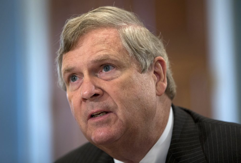 Agriculture Secretary Tom Vilsack testifies on Capitol Hill in Washington, Wednesday, Oct. 7, 2015. (Carolyn Kaster/AP)