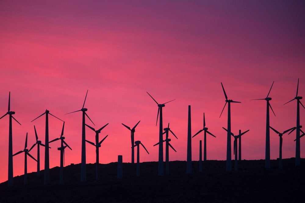 A wind farm near Palm Springs, Calif. (David McNew/AFP/Getty Images)