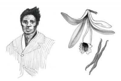 A illustration of slave Edmond Albius and a vanilla plant from Sarah Lohman's book. &quot;Vanilla is here thanks to a 12-year-old slave who figured out a botanical secret no one else knew,&quot; Lohman writes. (Credit/Peter Van Hyning)