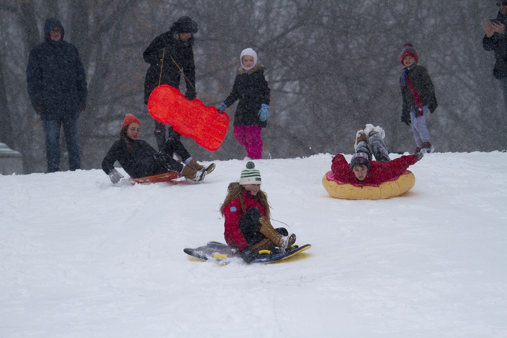 Kids sled down the hill at Boston Common during a snowstorm in 2017. (Jesse Costa/WBUR)