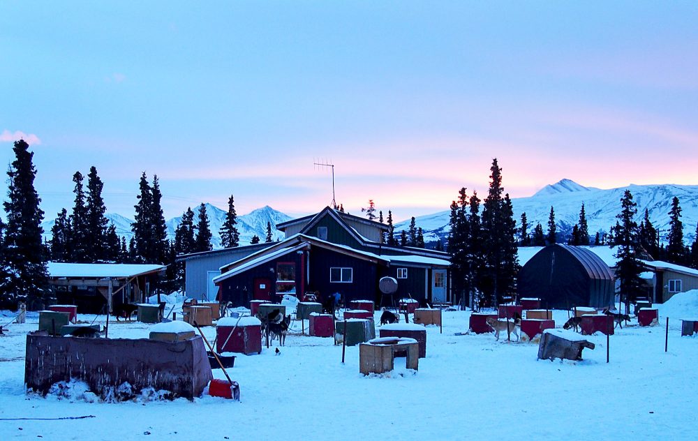 The view of the dog lot at Husky Homestead outside Denali, Alaska, on Jan. 26, 2017. (Zachariah Hughes/Alaska Public Media)