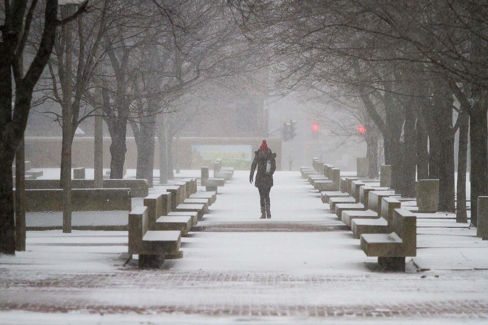 A woman walked through City Hall Plaza during Tuesday's storm. (Jesse Costa/WBUR)