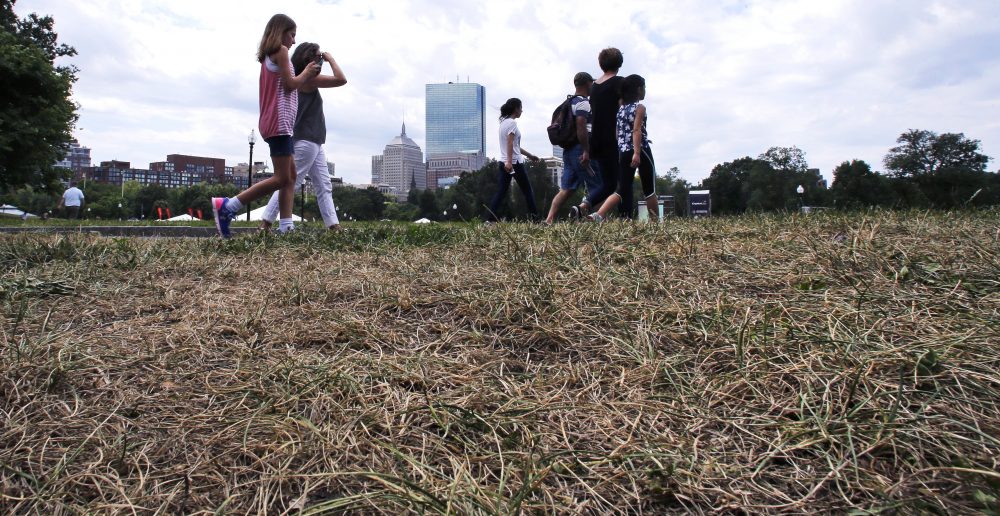 &quot;Conditions have improved, but not to the point that we would sit back and relax,&quot; the chair of the state's drought task force said Tuesday. Pictured here, tourists walk past browned and burnt grass on the Boston Common last summer. (Charles Krupa/AP)