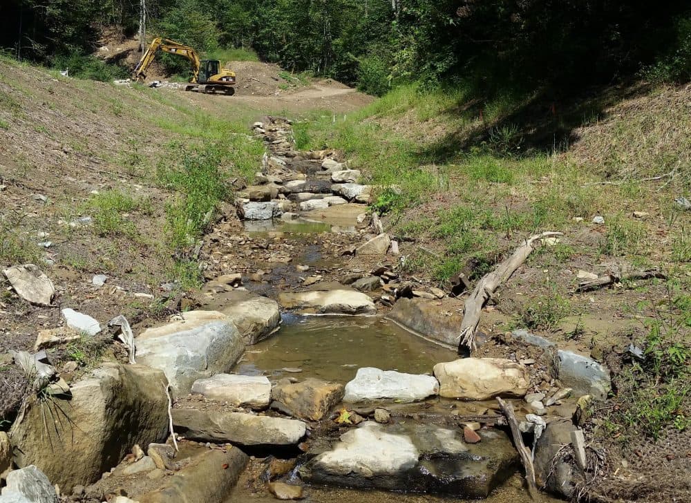 Stream restoration in progress in West Virginia. (Courtesy Canaan Valley Institute)