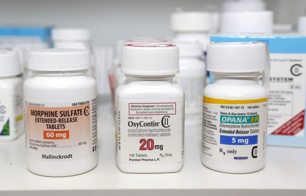 Morphine Sulfate, OxyContin and Opana are displayed for a photograph in Carmichael, California, on Jan. 18, 2013. (Rich Pedroncelli/AP)